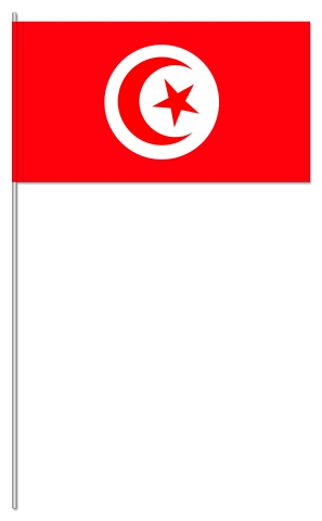 Werbeartikel: International Papierfahnen,=Tunesien Papierfahnen,