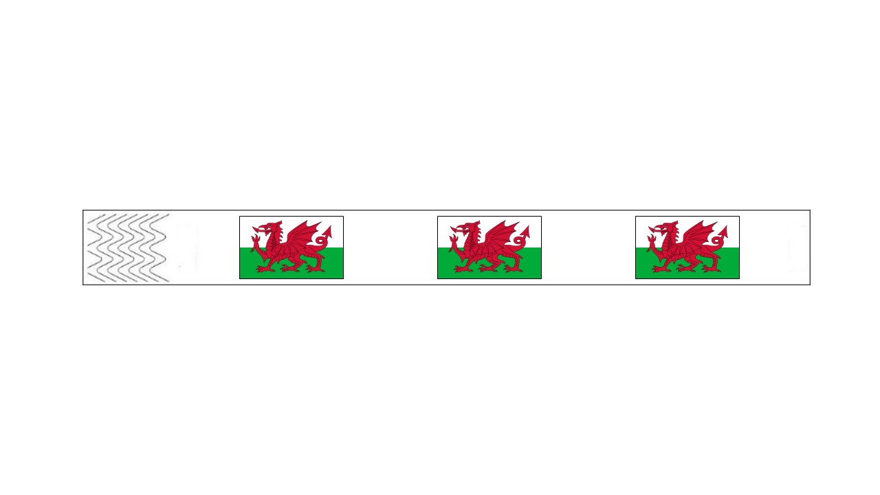 Werbeartikel: Kontroll-armbänder Wales, Werbeartikel: Armbänder Länder, Armbänder=Kontroll-armbänder Wales,